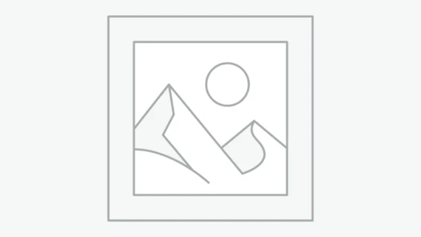 Testo 552i უკაბელო ვაკუუმის ზონდი App